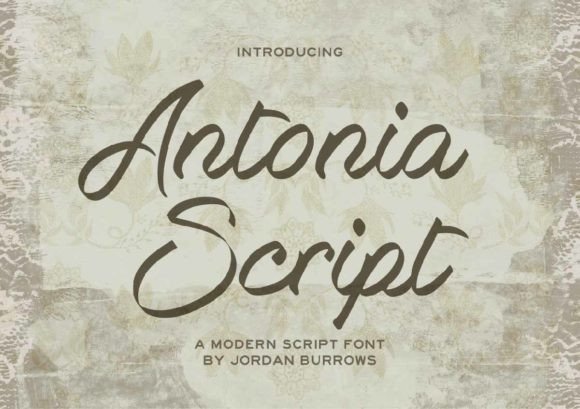 Antonia Script Font for Elegant Branding