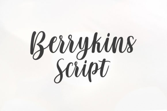 Berrykins Script Font for Business Branding