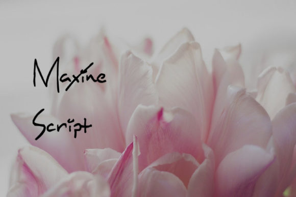 Maxine Script Font for Web Design