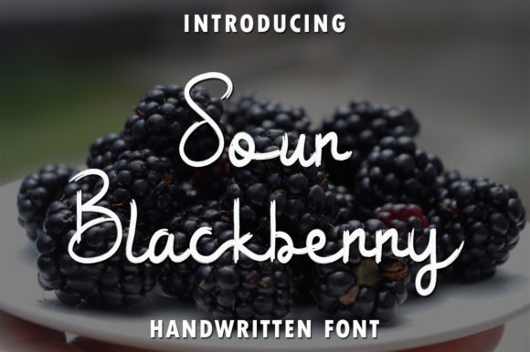 Sour Blackberry Font Review
